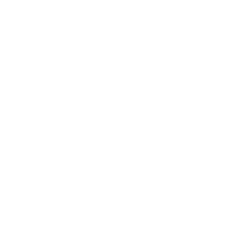 DEVSEC Logo